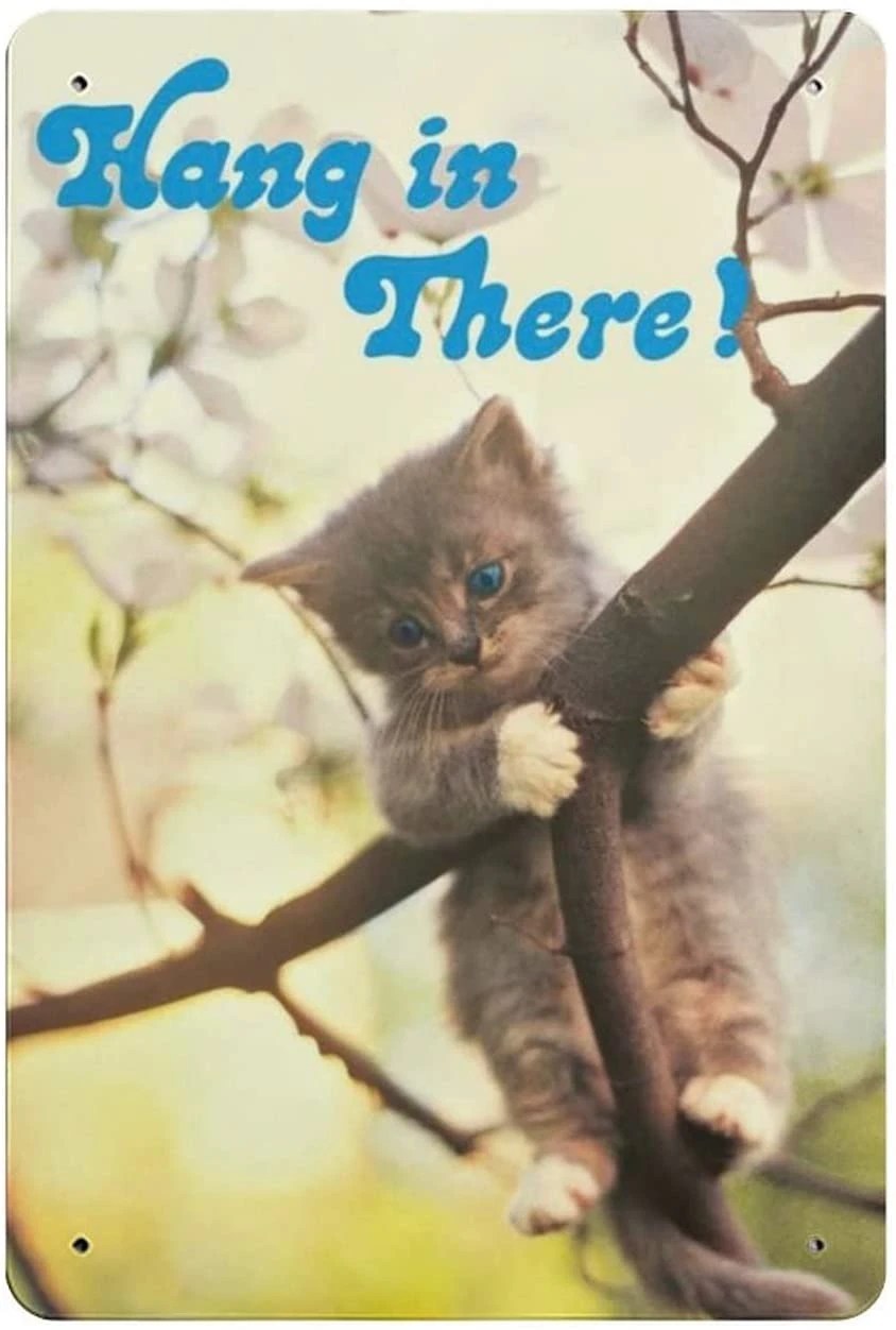nedil-cat-hang-in-there-cat-retro-metal-sign-poster-retro-metal-logo-poster-home-kitchen.jpg_q90.jpg_